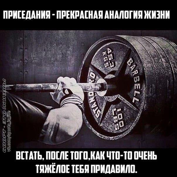  -   - 15  2016  07:15