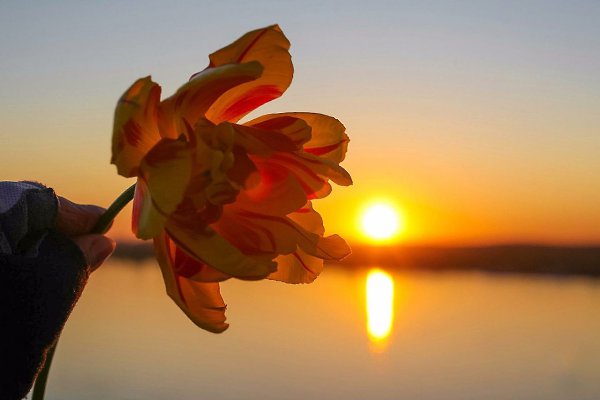 9 полезных советов в любом деле.1. Не делайте поспешных выводовЭта привычка уничтожает нас двумя ...