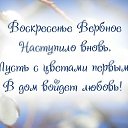 ,  -  24  2016    