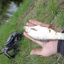  ,  , 40  -  27  2016    