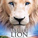 ���� ������, ���������, 47 ��� - ��������� 6 ������ 2016 � ������ ���� ����������