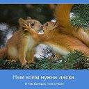 ���� �������, ������������ - ��������� 8 ���� 2016 � ������ ������� ��� ..����������