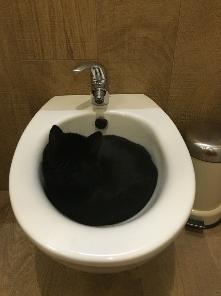 #_.Ÿ        !   ... - 4