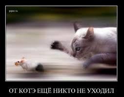 ***Victoria Viktorovna*** - 11  2016  06:46
