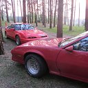 ���� ���������, ������, 39 ��� - ��������� 22 ������� 2016 � ������ ���� ����������