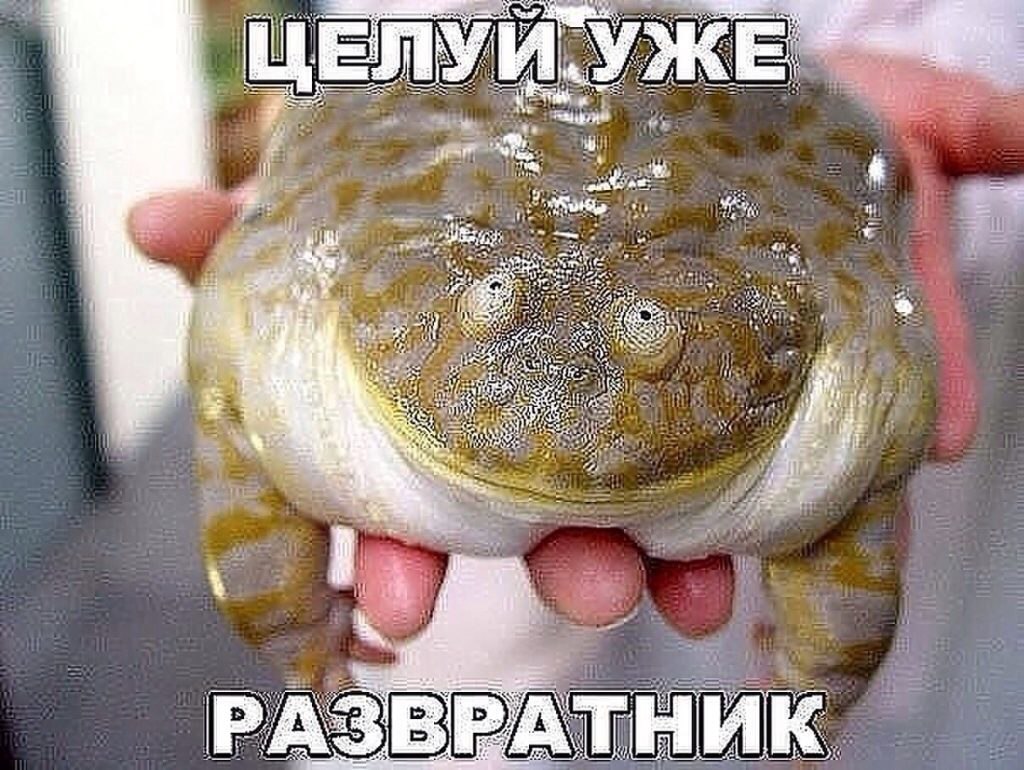  - 20  2016  03:27