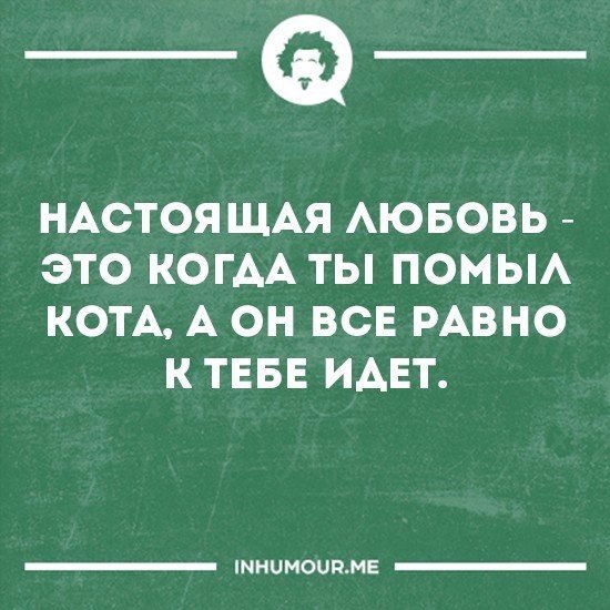   - 15  2016  01:50