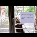 ���� ���, ��������������, 49 ��� - ��������� 6 ��� 2016 � ������ ������ ��������