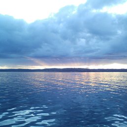 ���� �����, �����������, 37 ��� - ��������� 9 �������� 2016