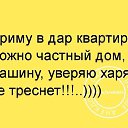 ���� �����, �����, 54 ���� - ��������� 26 ������� 2016 � ������ ������ ��������