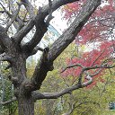 ���� ������, �����������, 63 ���� - ��������� 14 ���� 2016 � ������ ���� ����������