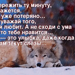 ���� ������, ������, 66 ��� - ��������� 2 ������ 2016