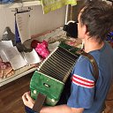  ,  -  12  2016   - 2016