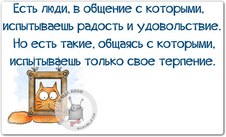 Почему не испытываешь радость. Радость общения цитаты. Цитаты про общение. Радость от общения цитаты. Смешные цитаты про общение.