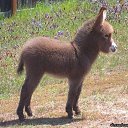 ���� Rs, ������, 39 ��� - ��������� 17 ���� 2016 � ������ ���� ����������