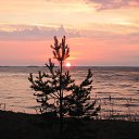  , -, 55  -  27  2016   