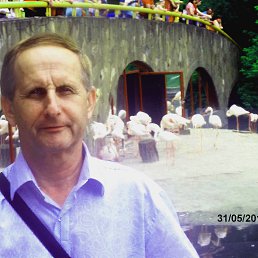 ���� ������, ������-��-����, 74 ���� - ��������� 16 ���� 2016