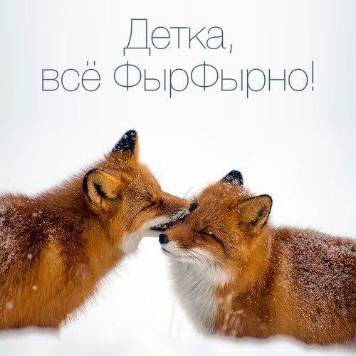...    ,    - 4