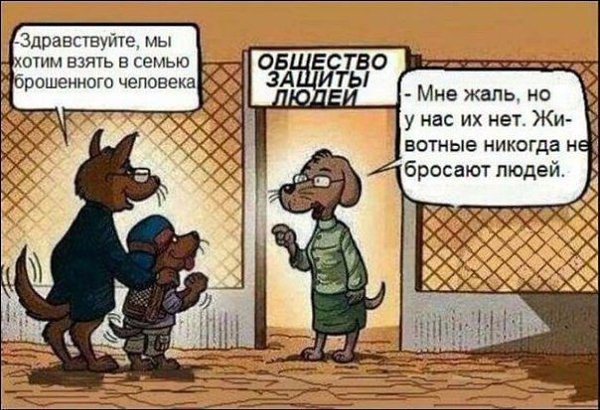SportFeed - 24  2016  22:58