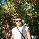 ���� ������, �����-���������, 41 ��� - ��������� 8 ��� 2016 � ������ ���� ����������