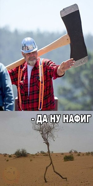 ... - 30  2016  17:33