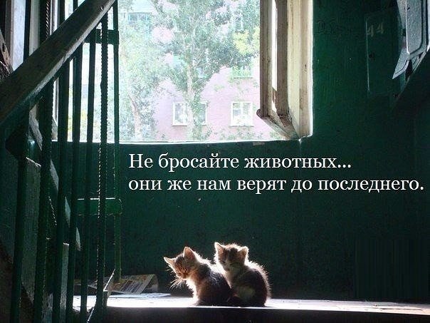 .https://fotostrana.ru/away?to=/sl/kxC2 - 15  2016  13:04