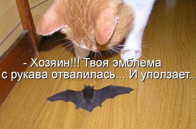 ***Victoria Viktorovna*** - 11  2016  06:48