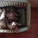 ���� ����, ����������, 65 ��� - ��������� 13 ����� 2016 � ������ �������.�