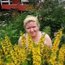 ���� �����, ������ - ��������� 24 ������� 2016 � ������ ������ ��������