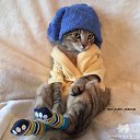 ���� An, ���������, 52 ���� - ��������� 27 ������� 2016 � ������ ���� ����������