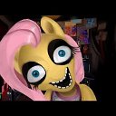 ���� �����, ��������, 23 ���� - ��������� 19 ������ 2016 � ������ ������ ��������