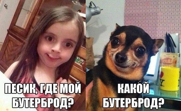    :D - 12  2016  05:30