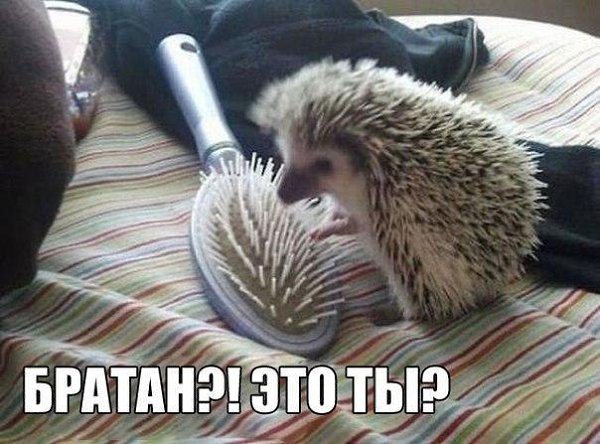    :D - 19  2016  08:09