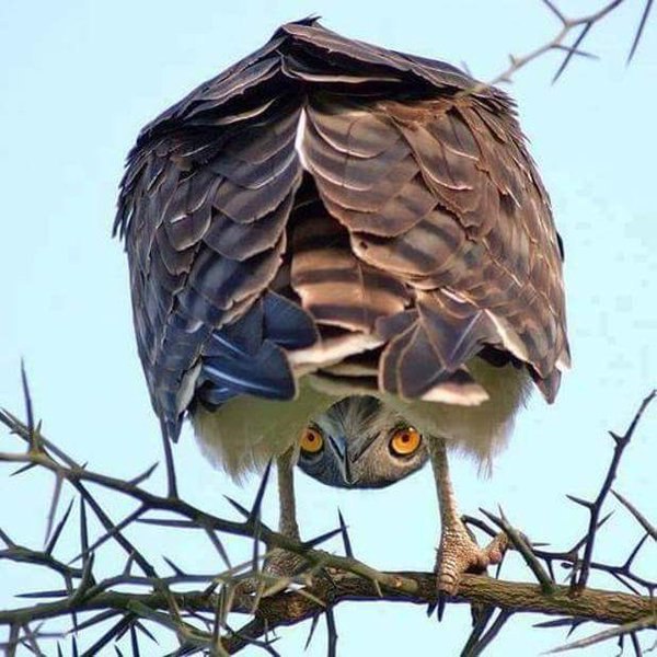 Решила взглянуть на проблему с другой стороны!!!