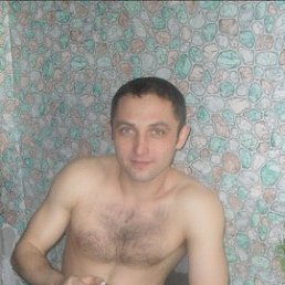 , 37, 