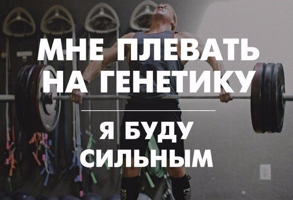 SportFeed - 24  2016  15:14