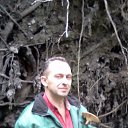  , -, 57  -  2  2016   .