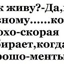  ,  -  28  2016    