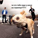 ���� ������, ������-��-����, 37 ��� - ��������� 7 ������ 2016 � ������ ���� ����������