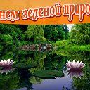 ���� ����, ����� - ��������� 4 ���� 2016 � ������ �������� ��������