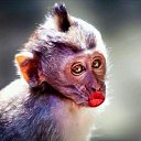 ���� �����, ����, 45 ��� - ��������� 23 ��� 2016 � ������ ������ ��������