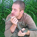 ���� �����, �����, 38 ��� - ��������� 24 ������� 2016 � ������ ���� ����������