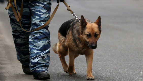 Сегодня, 22:22.СМИ сообщили о заложенной бомбе в центре МосквыВ среду вечером сотрудники ...
