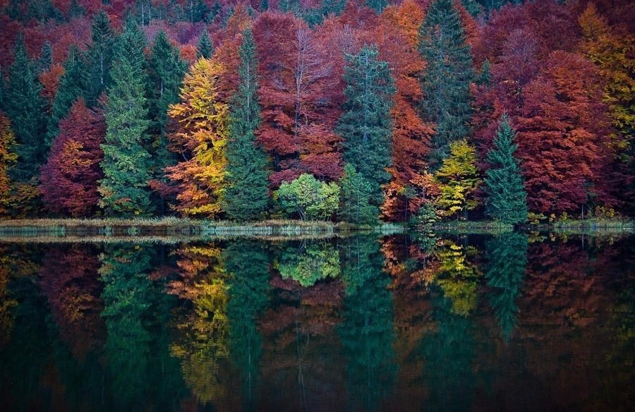       .#@travel.blog