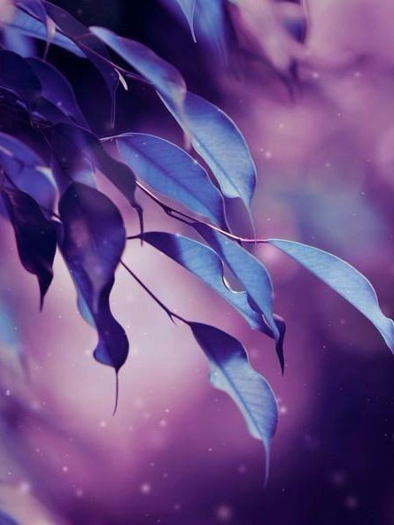 Art & Fun - 28  2016  01:02 - 4