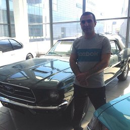 �����, �������, 46 ���