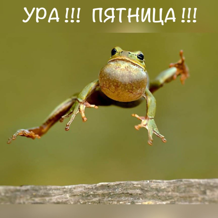  )