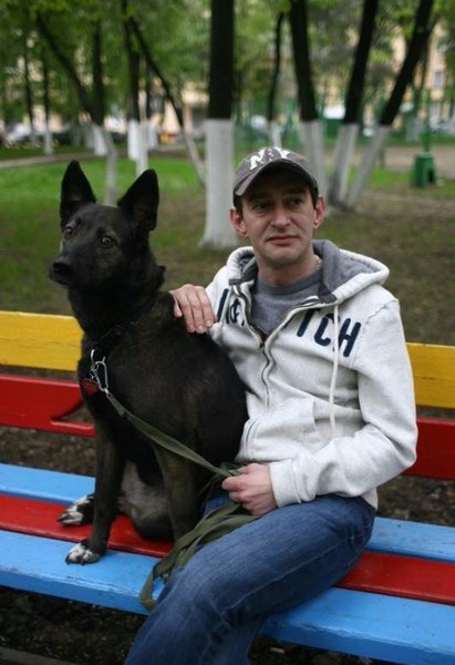 Доброта.Своего беспородного пса Константин Хабенский взял из приюта грязным и больным. Отмыл, ...