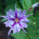 ���� 2016 �� ������� �� ��� - ��������!!!)))�