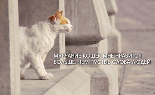       - 23  2016  03:32